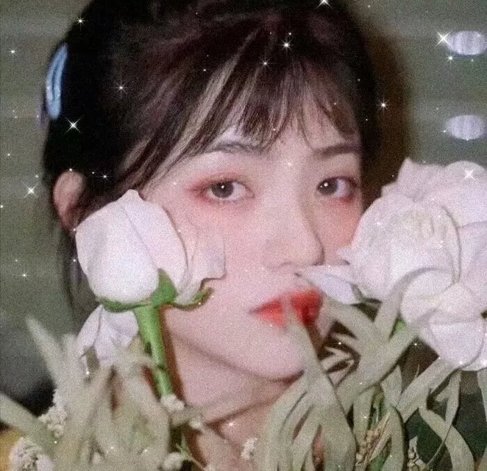 我爱莎拉简